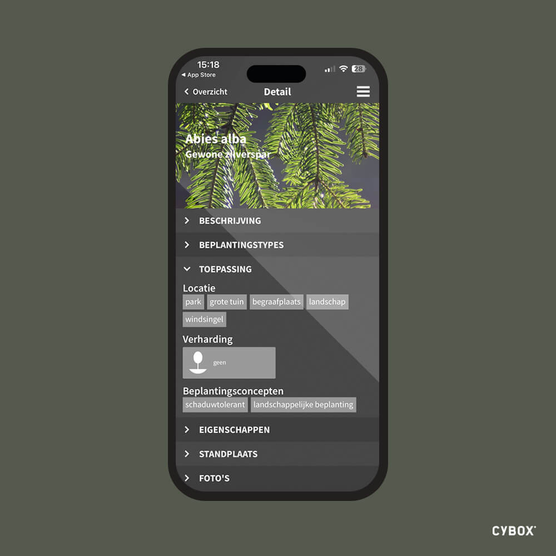 LIVE: TreeEbb